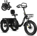 ESKUTE Triciclo Elettrico per Adulti T302 Pro