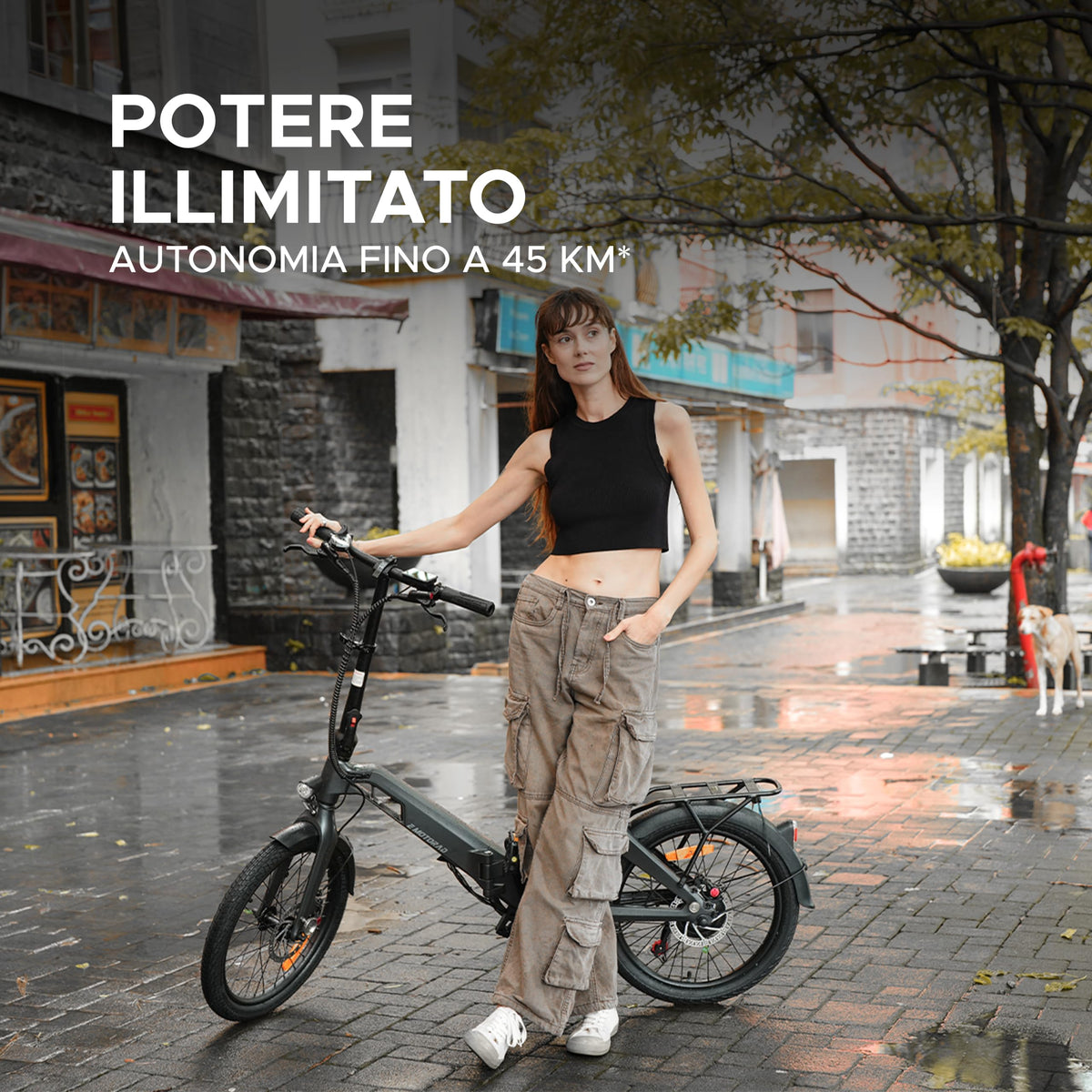 EMotorad V1, Bicicletta Elettrica Pieghevole da Città, Telaio in Lega di Magnesio, Motore 250 W 35 Nm, Batteria Rimovibile 36 V 7,8 Ah, Shimano Tourney 7 Velocità, Freni a Disco Idraulici