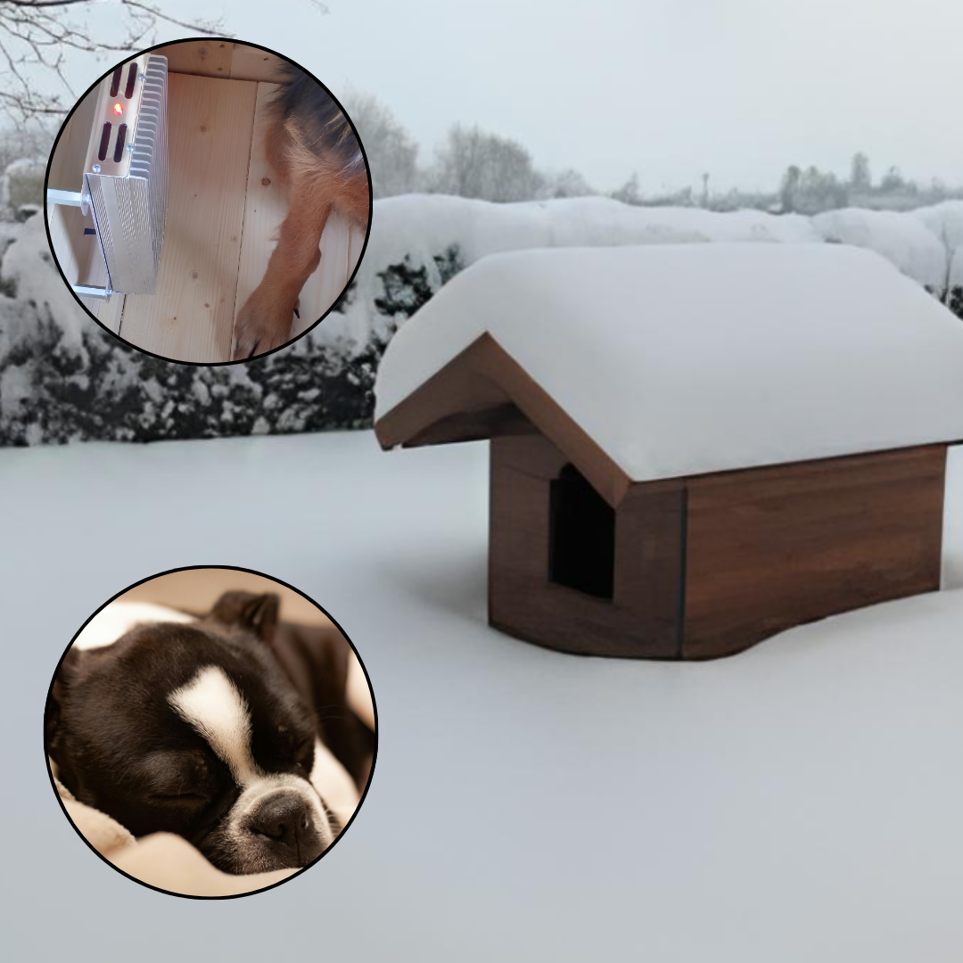 EHS Sofia 60 – Riscaldamento 12V 60W per Box e Cucce per Cani