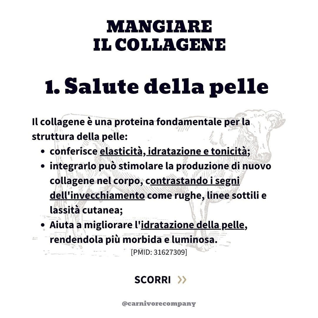 Collagene da Mucche al Pascolo