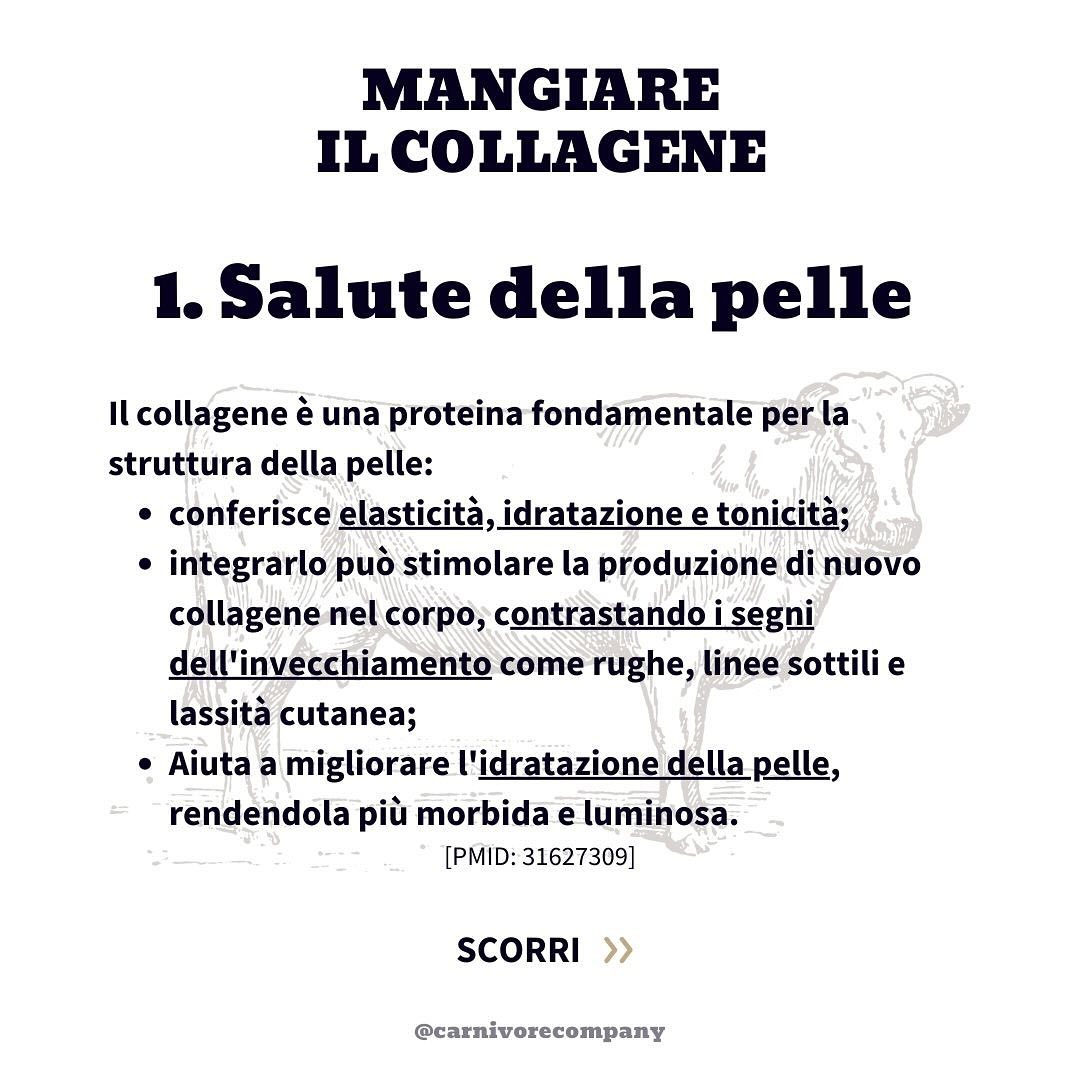 Collagene da Mucche al Pascolo